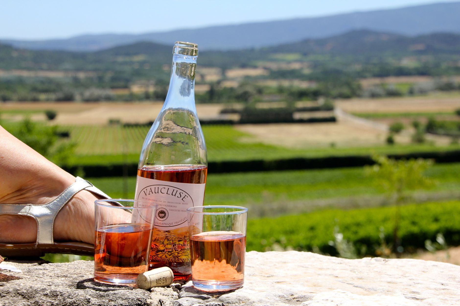 Dégustation de vin en Provence dans un domaine privé